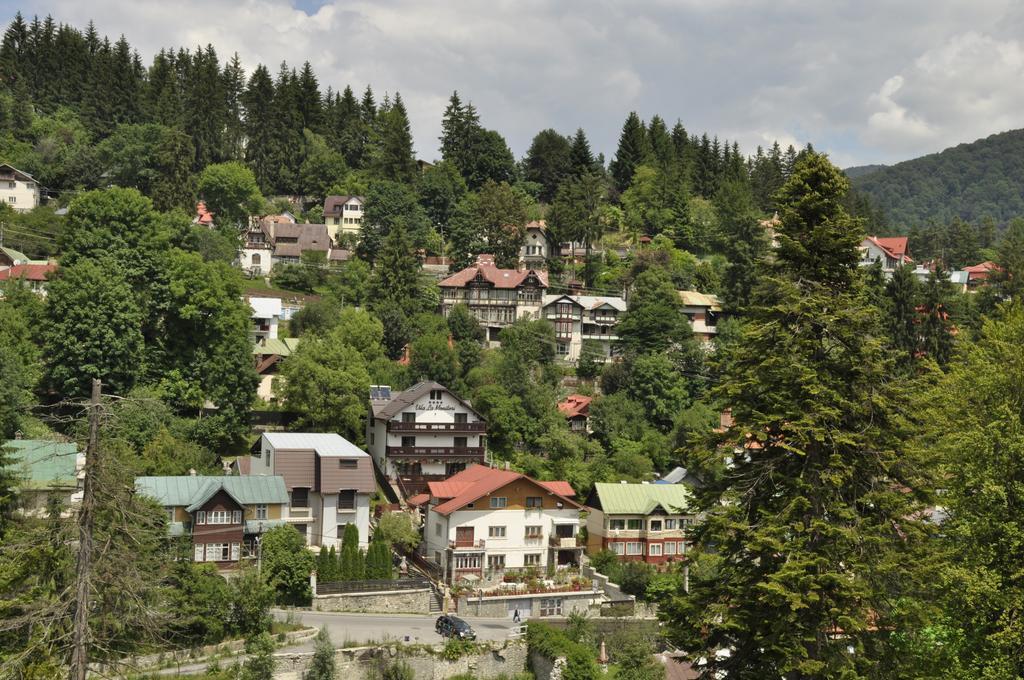 La Monitori Hotel Sinaia Kamer foto